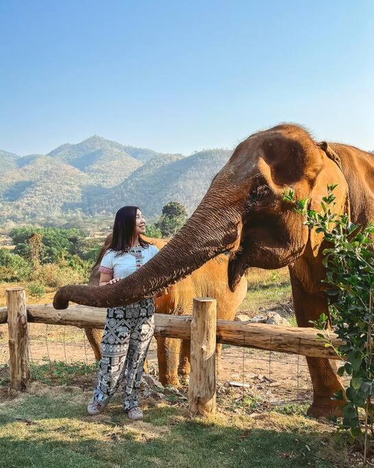 Elephantpoolvilla Maetang Chiangmai Ban Muang Kut Eksteriør billede